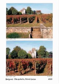 Werkbuch_Auszug_Cote_de_nuits_0003